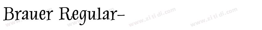 Brauer Regular字体转换